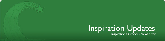 Widget Quarterly - ABC Widgets Quarterly Newsletter
